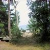 images/Schweden/Schweden 2009/IMG_4510.jpg